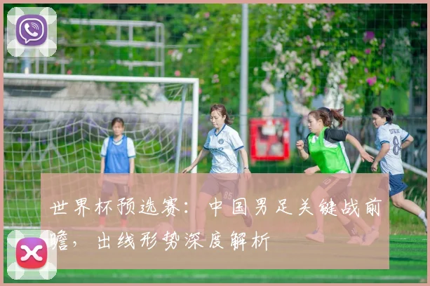 世界杯预选赛：中国男足关键战前瞻，出线形势深度解析