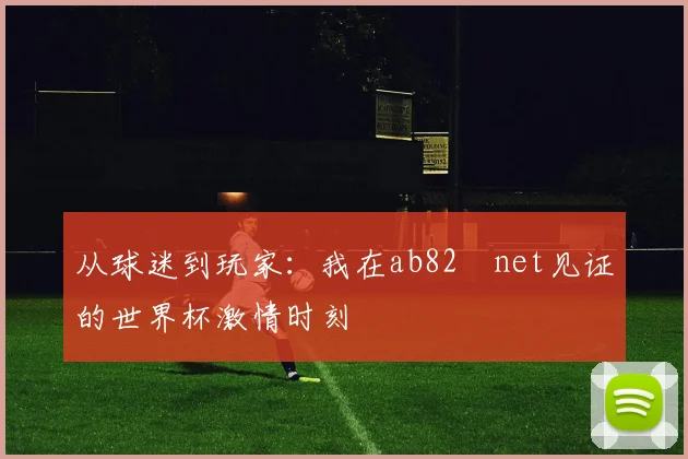 从球迷到玩家：我在ab82婰net见证的世界杯激情时刻