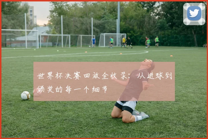 世界杯决赛回放全收录:从进球到颁奖的每一个细节