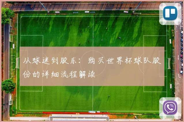 从球迷到股东：购买世界杯球队股份的详细流程解读