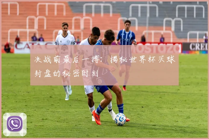 决战前最后一搏:揭秘世界杯买球封盘的秘密时刻
